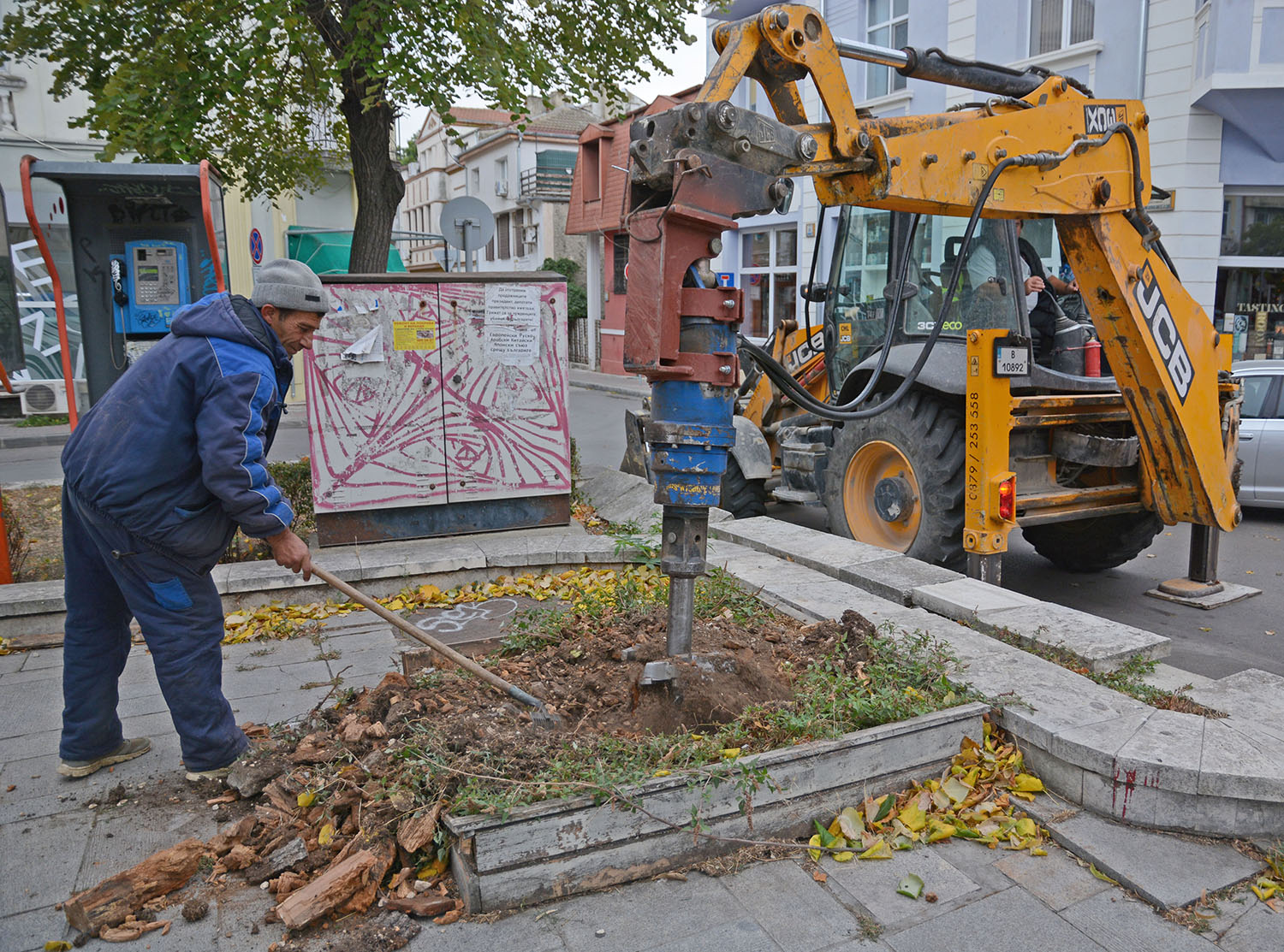 Засаждат над 350 нови дървета във Варна (СНИМКИ)